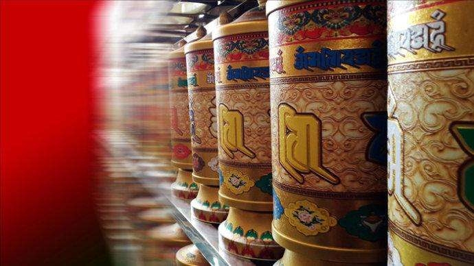 timg (1).jpg