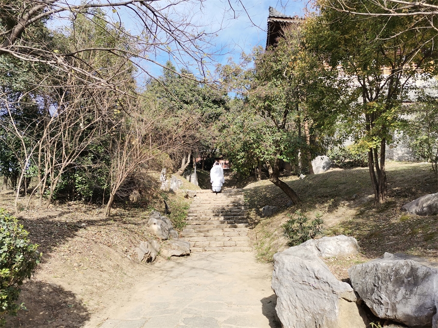 IMG_20211203_125532.jpg
