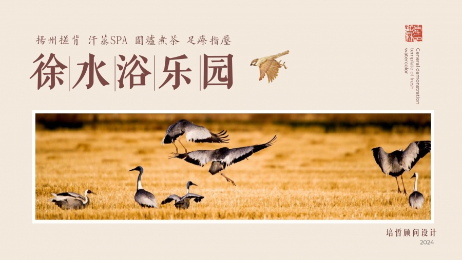 ���ݴ걳�����