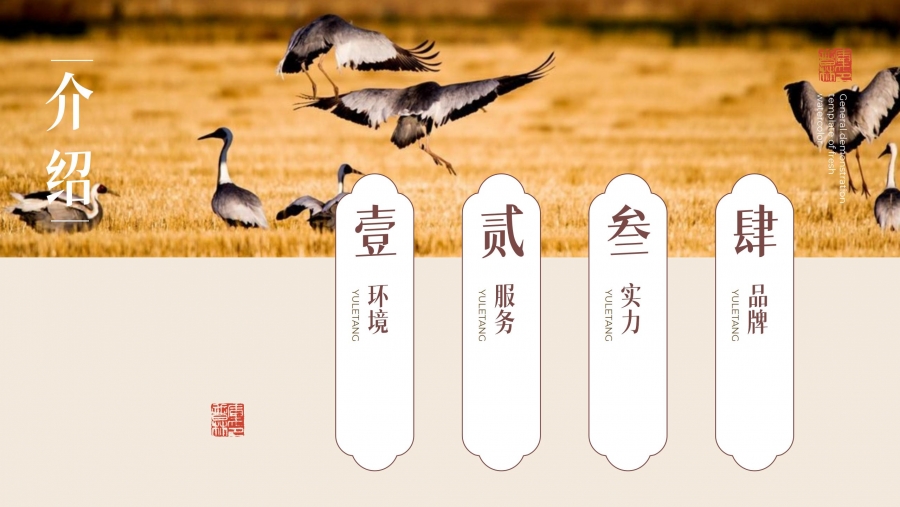 ���ݴ걳�����